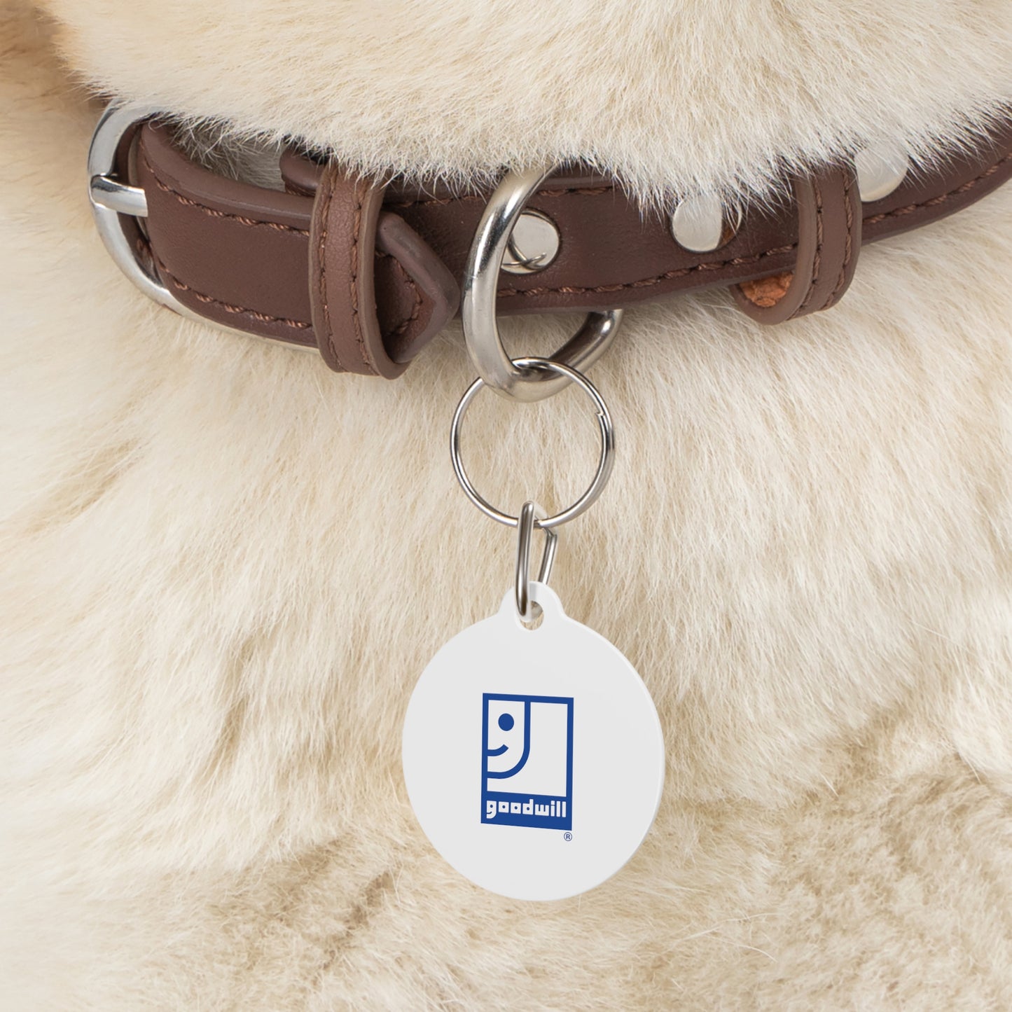 Pet Tag